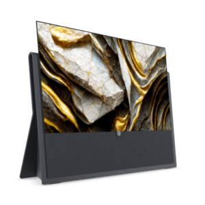 Loewe Iconic Collection Inspire 55